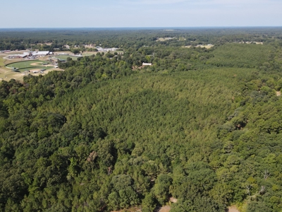 Hunting and Timber Land For Sale in Harleton, Texas - image 13