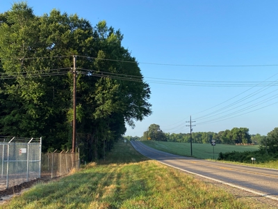 Hunting and Timber Land For Sale in Harleton, Texas - image 2
