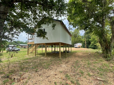 River Cabin with community access to Buffalo River - image 3