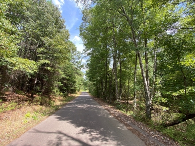 Harrison County Country Homesite For Sale, Harleton, Texas - image 14