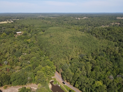 Harrison County Country Homesite For Sale, Harleton, Texas - image 3