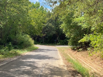 Harrison County Country Homesite For Sale, Harleton, Texas - image 18