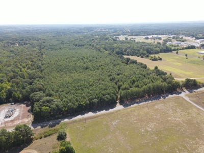 Harrison County Country Homesite For Sale, Harleton, Texas - image 7