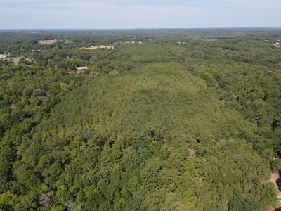 Harrison County Country Homesite For Sale, Harleton, Texas - image 4