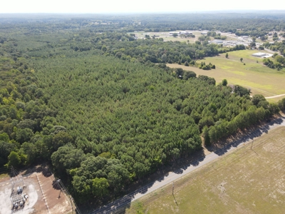 Harrison County Country Homesite For Sale, Harleton, Texas - image 10
