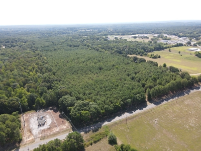 Harrison County Country Homesite For Sale, Harleton, Texas - image 8