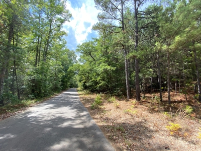 Harrison County Country Homesite For Sale, Harleton, Texas - image 12