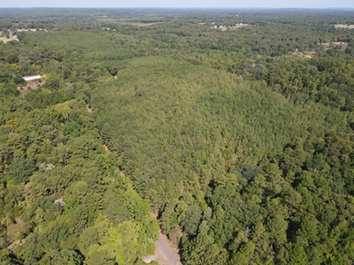 Harrison County Country Homesite For Sale, Harleton, Texas - image 2