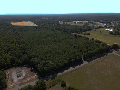 Harrison County Country Homesite For Sale, Harleton, Texas - image 9