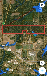 Harrison County Country Homesite For Sale, Harleton, Texas - image 22