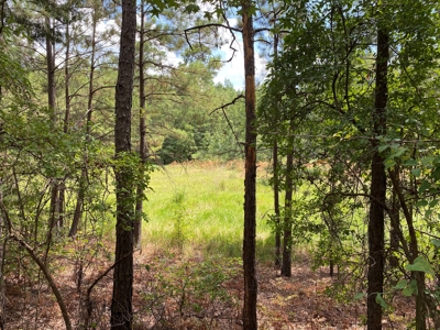 Harrison County Country Homesite For Sale, Harleton, Texas - image 21