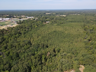 Harrison County Country Homesite For Sale, Harleton, Texas - image 5