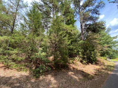 Harrison County Country Homesite For Sale, Harleton, Texas - image 11
