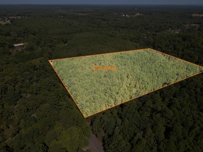 Harrison County Country Homesite For Sale, Harleton, Texas - image 1