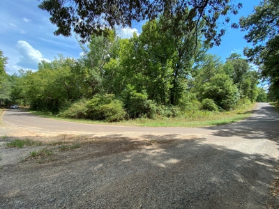 Harrison County Country Homesite For Sale, Harleton, Texas - image 19