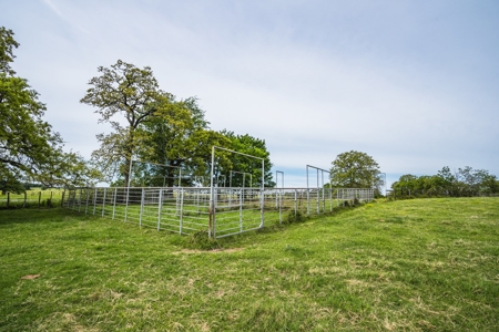 Pasture and Farm land with Creek in Central-East Texas - image 6