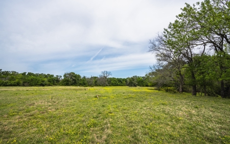 Pasture and Farm land with Creek in Central-East Texas - image 8