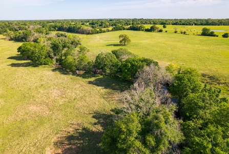 Pasture and Farm land with Creek in Central-East Texas - image 1