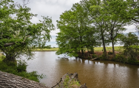 Pasture and Farm land with Creek in Central-East Texas - image 12