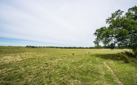 Pasture and Farm land with Creek in Central-East Texas - image 10