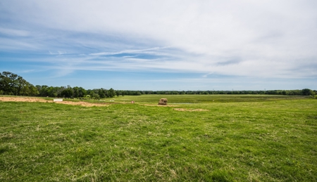 Pasture and Farm land with Creek in Central-East Texas - image 5