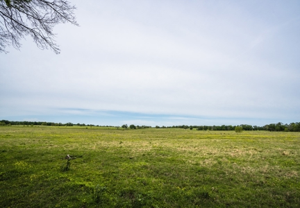 Pasture and Farm land with Creek in Central-East Texas - image 9