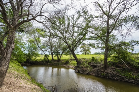 Pasture and Farm land with Creek in Central-East Texas - image 3