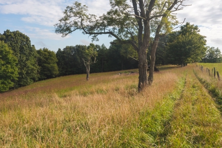 Land for Sale in Riner VA! - image 2
