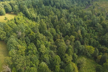Land for Sale in Riner VA! - image 17