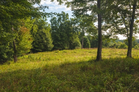 Land for Sale in Riner VA! - image 8