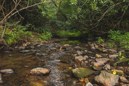 Land for Sale in Riner VA! - image 11