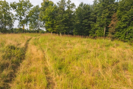 Land for Sale in Riner VA! - image 9