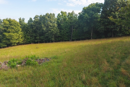 Land for Sale in Riner VA! - image 5