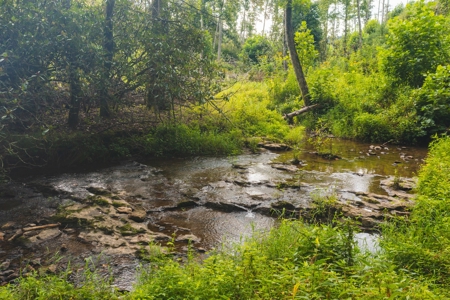 Land for Sale in Riner VA! - image 1
