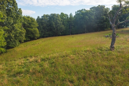 Land for Sale in Riner VA! - image 3