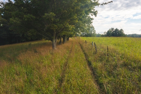 Land for Sale in Riner VA! - image 4