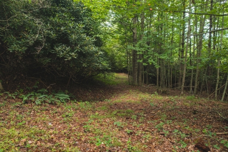 Land for Sale in Riner VA! - image 16
