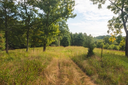Land for Sale in Riner VA! - image 7