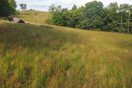 Land for Sale in Riner VA! - image 6