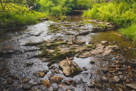 Land for Sale in Riner VA! - image 14