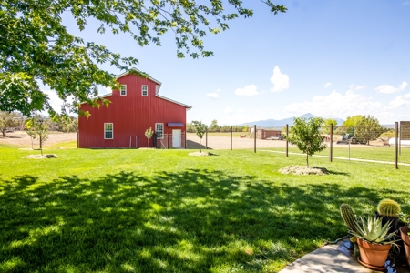 Quiet Country Home W/ Irrigated Acreage For Sale in Dolores - image 16