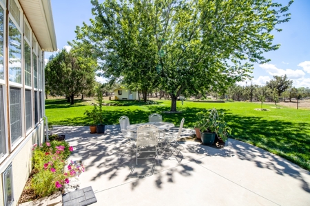 Quiet Country Home W/ Irrigated Acreage For Sale in Dolores - image 14