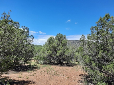 Great Views - image 10