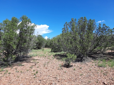 Great Views - image 9