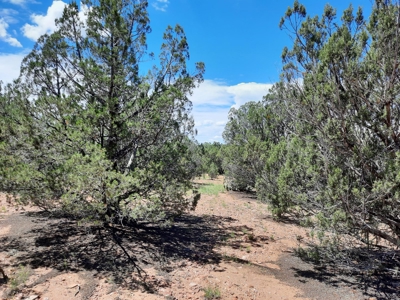 Great Views - image 11