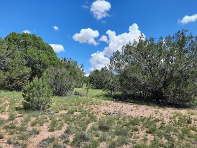 Great Views - image 4