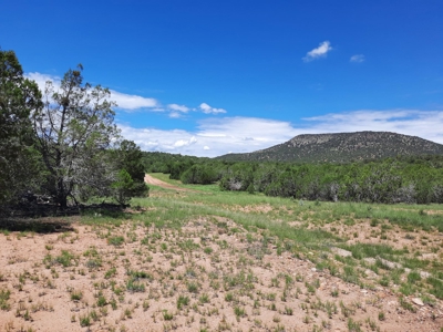Great Views - image 12