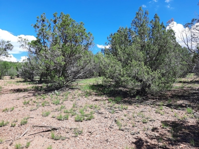 Great Views - image 6