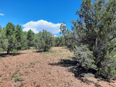 Great Views - image 7