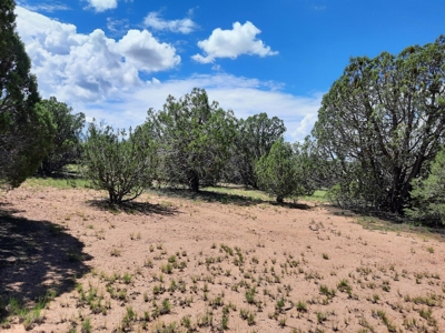 Great Views - image 13
